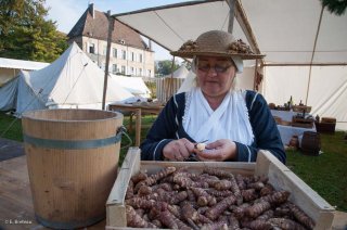 Reconstitution d'un bivouac des troupes napoléoniennes au château du Passage en Isère. La Prune, la vivandière du campement épluche les topinambours. La cuisine se fait dans les conditions de l'époque