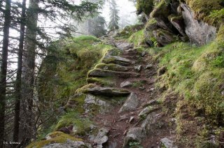 Sentier montant au Vallon de la Lavey à Saint-Christophe-en-Oisans