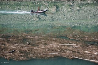 Lac du Chambon. Une équipe de débardeurs par câble sort les bois flottés du lac