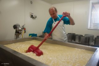 Brassage du caillé, fabrication du fromage Bleu du Vercors Sassenage. Ferme de Roche Rousse à Saint Martin en Vercors