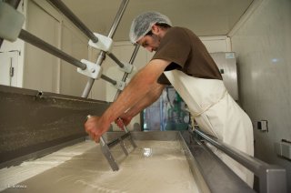 Fabrication du fromage Bleu du Vercors Sassenage, tranchage du caillé. Ferme des Domarières à Saint Julien en Vercors.