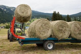 Chargement des bottes rondes de foin. Ferme des Perce-Neige à Corrençon en Vercors