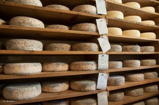 Cave à fromage de Bleu du Vercors Sassenage à la Ferme de la Grand Mèche à Lans en Vercors.