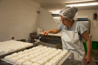 Travail en fromagerie. Salage des fromages de brebis. Ferme Bouclette et Compagnie à Saint Martin en Vercors