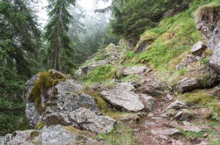 Sentier de montagne en Oisans, accès pour le vallon de la Lavey. Ecrins, Isère