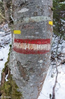 Marquage et balisage de limite de parcelle forestière et de sentier de petite randonnée, Isère