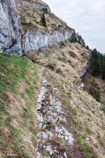 Sentier de montagne sur le Châtel dans le Trièves, Isère