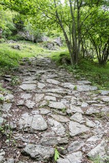 Sentier de montagne empierré dans le vallon de Rif Bruyant, Isère