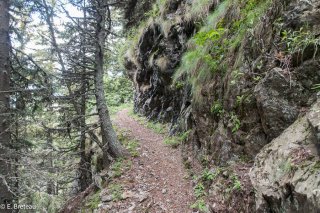 Sentier de montagne dans le vallon de Rif Bruyant en Isère