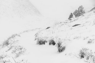Sentier de montagne du Pas des Bachassons dans le Vercors, Isère