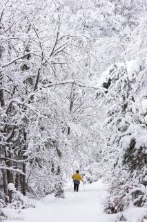 Sentier de randonnée sous le neige vers le Châtel dans le Trièves. Isère