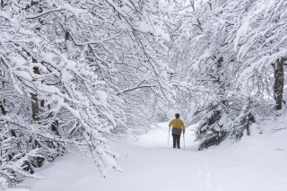 Sentier de randonnée sous le neige vers le Châtel dans le Trièves. Isère