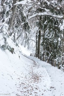 Sentier de montagne sous la neige du mont Chauvet en Matheysine, Isère