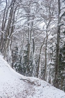 Sentier de montagne sous la neige du mont Chauvet en Matheysine, Isère