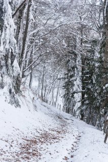 Sentier de montagne sous la neige du mont Chauvet en Matheysine, Isère