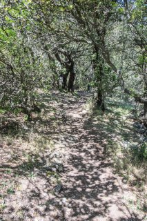 Sentier de grande randonnée GR sur la montagne de la Sainte-Victoire