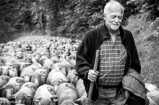 Michel, éleveur de moutons à Lavaldens