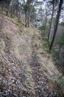 Sentier du Châtel. Forêt du Trièves, Isère