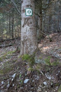 Balisage des parcelles forestières. Forêt du Trièves, Isère