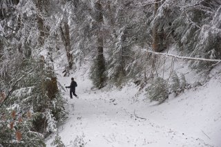 Promeneur sur le sentier du Ménil. Trièves, Isère