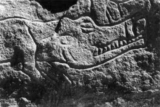 Gravure rupestre représentant un crocodile dans l'oued Imrawen