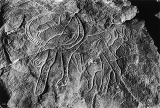 Gravures rupestres représentant des bovins