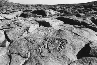 Gravure rupestre représentant des mouflons ? à Tin Amutin