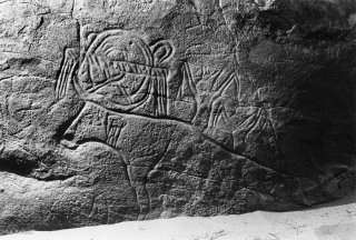 Gravure rupestre représentant un bovin avec les cornes ornées, deux personnage à tête d'animal le chevauchent