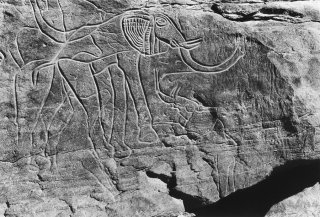 Gravures rupestres représentant une éléphante et son éléphanteau