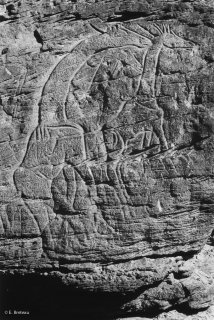 Gravures rupestres représentant des girafes