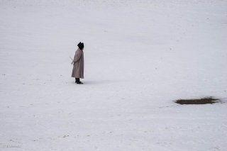 Napoléon à Laffrey (Isère). Reconstitution du bicentenaire de la prairie de la rencontre. 7 mars 2015