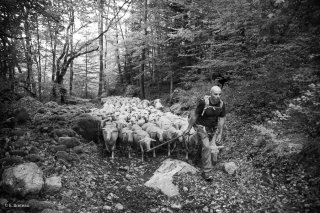 Montée à l'alpage du Châtel à Mens en Isère