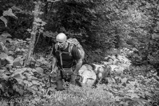 Montée à l'alpage du Châtel à Mens en Isère