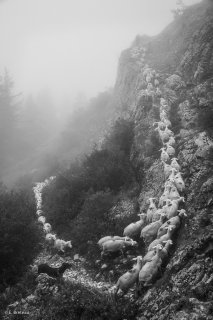 Montée à l'alpage du Châtel à Mens en Isère