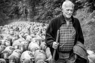 Michel Poncet, éleveur à Lavaldens. Isère