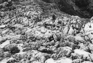 Pascal, berger sur les lapiaz du Vercors