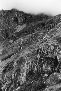 Alpage du Valgaudemar, les brebis passent en file indienne sur une vire escarpée. Hautes-Alpes
