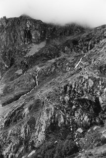 Alpage du Valgaudemar, les brebis passent en file indienne sur une vire escarpée. Hautes-Alpes