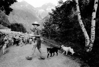 Mathieu, berger dans le Valgaudemar. Hautes-Alpes