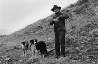 Belou et ses chiens, berger dans le Champsaur. Hautes-Alpes