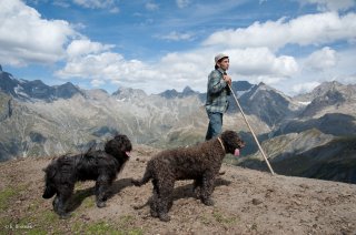 Alain, berger dans le Valgaudemar avec sa chienne Berger de Crau