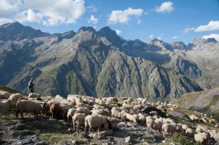 Alpage du Valgaudemar. Hautes-Alpes