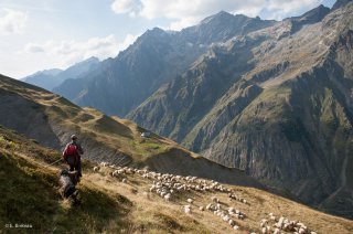 Alpage du Valgaudemar. Hautes-Alpes