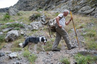 Jeannot cherche ses brebis en alpage. Champsaur, Hautes-Alpes