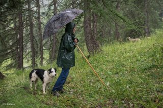 Max, berger sous l'orage, sur l'alpage de Valdemars dans les Alpes de Haute Provence