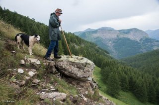 Max, berger sur l'alpage de Valdemars dans les Alpes de Haute Provence