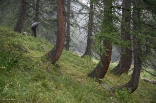 Max, berger sous l'orage, sur l'alpage de Valdemars dans les Alpes de Haute Provence