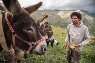 Tony, berger sur l'alpage de Méailles dans les Alpes de Haute Provence