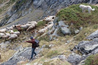 Louis, éleveur herbassier vers Nîmes et transhumant sur un alpage à Lavaldens (Isère)