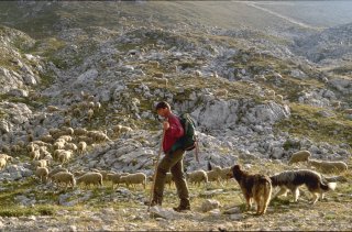 Pascal, berger dans le Vercors